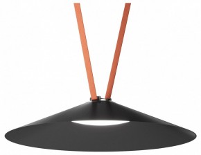 Накладной светильник Denkirs Belty Flow DK5568-BK в Ялуторовске - yalutorovsk.ok-mebel.com | фото 2