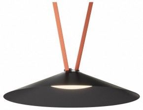 Накладной светильник Denkirs Belty Flow DK5569-BK в Ялуторовске - yalutorovsk.ok-mebel.com | фото 2