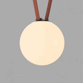 Накладной светильник Denkirs Belty Orb DK5555-BK в Ялуторовске - yalutorovsk.ok-mebel.com | фото 2