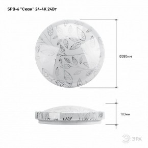 Накладной светильник Эра Классик SPB-6-24-4K (C) в Ялуторовске - yalutorovsk.ok-mebel.com | фото 6