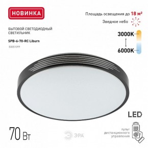 Накладной светильник Эра Классик SPB-6-70-RC Liburn в Ялуторовске - yalutorovsk.ok-mebel.com | фото 10