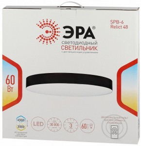 Накладной светильник Эра Relict Relict 48 Pult SPB-6-60-RC MG в Ялуторовске - yalutorovsk.ok-mebel.com | фото 8