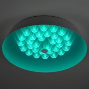Накладной светильник Эра  SPB-6-80-RC Locus RGB в Ялуторовске - yalutorovsk.ok-mebel.com | фото 7