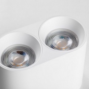 Накладной светильник Lightstar Rullo 213466 в Ялуторовске - yalutorovsk.ok-mebel.com | фото 6