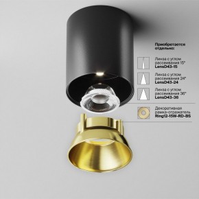 Накладной светильник Maytoni Alfa LED C064CL-12W4K-RD-B в Ялуторовске - yalutorovsk.ok-mebel.com | фото 3