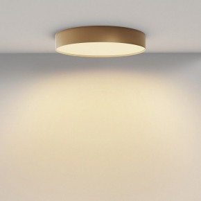 Накладной светильник Maytoni Zon C032CL-45W2.7K-RD-MG в Ялуторовске - yalutorovsk.ok-mebel.com | фото 4
