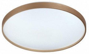 Накладной светильник Sonex Gaby 7783/EL в Ялуторовске - yalutorovsk.ok-mebel.com | фото 4
