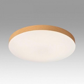 Накладной светильник Sonex Gamma 7761/50L в Ялуторовске - yalutorovsk.ok-mebel.com | фото 3