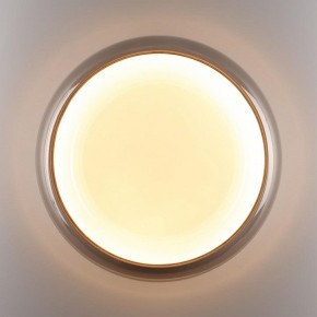 Накладной светильник Sonex PORTMAN 7777/DLN в Ялуторовске - yalutorovsk.ok-mebel.com | фото 6