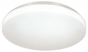 Накладной светильник Sonex Smalli 3050/CL в Ялуторовске - yalutorovsk.ok-mebel.com | фото 3