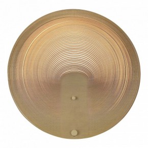 Накладной светильник ST-Luce Fossil SL6900.501.16 в Ялуторовске - yalutorovsk.ok-mebel.com | фото 2
