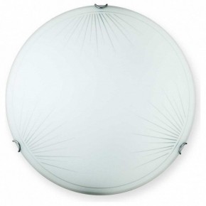 Накладной светильник TopLight Wifa TL9142Y-00WH в Ялуторовске - yalutorovsk.ok-mebel.com | фото