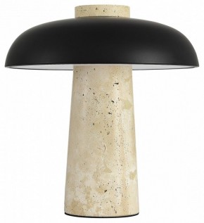 Настольная лампа декоративная ST-Luce Earthy SL1194.424.01 в Ялуторовске - yalutorovsk.ok-mebel.com | фото