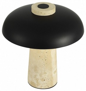 Настольная лампа декоративная ST-Luce Earthy SL1194.424.01 в Ялуторовске - yalutorovsk.ok-mebel.com | фото 5