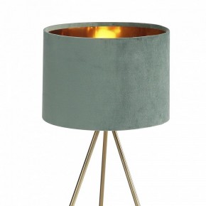 Настольная лампа декоративная ST-Luce FUEGO SL6242.704.01 в Ялуторовске - yalutorovsk.ok-mebel.com | фото 5