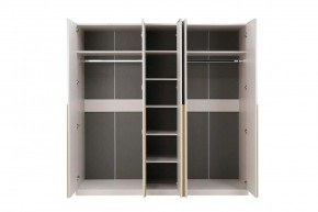 НИКОЛЬ 25 Шкаф 5-ти створчатый в Ялуторовске - yalutorovsk.ok-mebel.com | фото 3