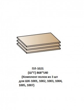 ПЛ-1021 (Комплект полок из 3 шт для ШК-1001, 1002, 1003, 1004, 1005, 1007) в Ялуторовске - yalutorovsk.ok-mebel.com | фото