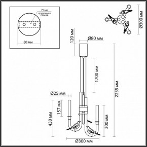 Подвесная люстра Odeon Light Lark 5431/6L в Ялуторовске - yalutorovsk.ok-mebel.com | фото 5