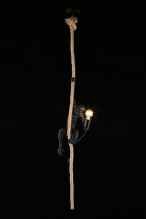 Подвесной светильник Aployt Magali APL.309.16.01 в Ялуторовске - yalutorovsk.ok-mebel.com | фото 3