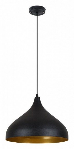 Подвесной светильник Arte Lamp Carmel A7076SP-1BK в Ялуторовске - yalutorovsk.ok-mebel.com | фото 2
