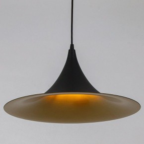 Подвесной светильник Arte Lamp Carmel A7080SP-1BK в Ялуторовске - yalutorovsk.ok-mebel.com | фото