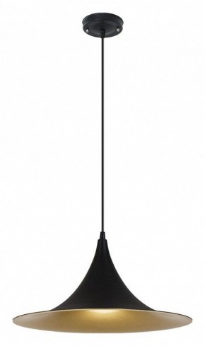 Подвесной светильник Arte Lamp Carmel A7080SP-1BK в Ялуторовске - yalutorovsk.ok-mebel.com | фото 2