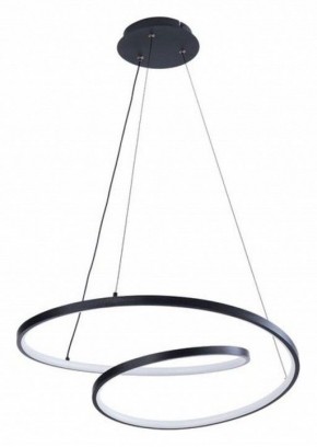 Подвесной светильник Arte Lamp Millo A3893SP-30BK в Ялуторовске - yalutorovsk.ok-mebel.com | фото 2