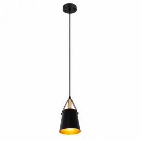 Подвесной светильник Arte Lamp Thomas A7032SP-1BK в Ялуторовске - yalutorovsk.ok-mebel.com | фото 3