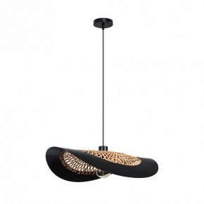Подвесной светильник Arte Lamp Woodstock A7059SP-1BK в Ялуторовске - yalutorovsk.ok-mebel.com | фото 2