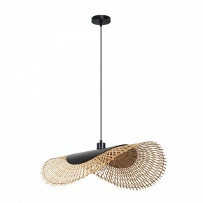 Подвесной светильник Arte Lamp Woodstock A7063SP-1BK в Ялуторовске - yalutorovsk.ok-mebel.com | фото 2