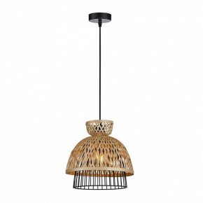 Подвесной светильник Arte Lamp Woodstock A7070SP-1BK в Ялуторовске - yalutorovsk.ok-mebel.com | фото