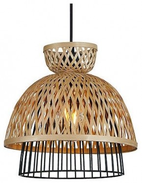 Подвесной светильник Arte Lamp Woodstock A7070SP-1BK в Ялуторовске - yalutorovsk.ok-mebel.com | фото 2