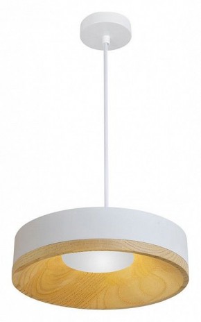Подвесной светильник Divinare Vaso 5119/33 SP-8 в Ялуторовске - yalutorovsk.ok-mebel.com | фото 2