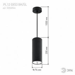 Подвесной светильник Эра  PL12 GX53 BK/SL в Ялуторовске - yalutorovsk.ok-mebel.com | фото 8