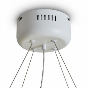 Подвесной светильник Freya Rain FR5546PL-L60W в Ялуторовске - yalutorovsk.ok-mebel.com | фото 9