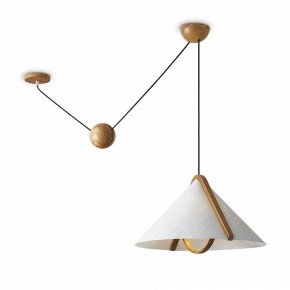 Подвесной светильник Freya Umbra FR5554CL-01T в Ялуторовске - yalutorovsk.ok-mebel.com | фото 2
