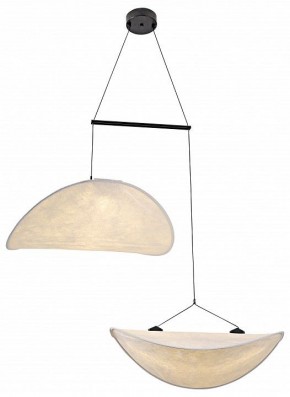 Подвесной светильник Kink Light Брами 08022-60+60,01 в Ялуторовске - yalutorovsk.ok-mebel.com | фото