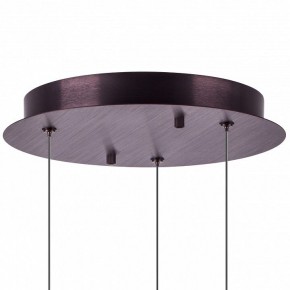 Подвесной светильник Lightstar Caramello 796139 в Ялуторовске - yalutorovsk.ok-mebel.com | фото 13
