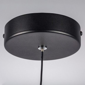 Подвесной светильник Lightstar Saturno 749017 в Ялуторовске - yalutorovsk.ok-mebel.com | фото 12