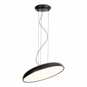Подвесной светильник Lussole Crook LSP-7360 в Ялуторовске - yalutorovsk.ok-mebel.com | фото 2