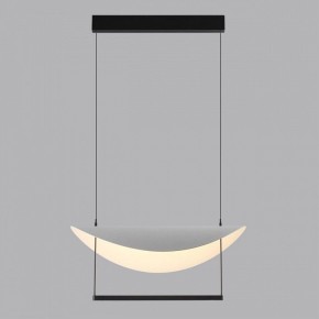 Подвесной светильник Odeon Light Next 7015/20L в Ялуторовске - yalutorovsk.ok-mebel.com | фото 4