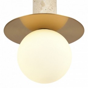 Подвесной светильник ST-Luce Earthy SL1194.303.01 в Ялуторовске - yalutorovsk.ok-mebel.com | фото 5
