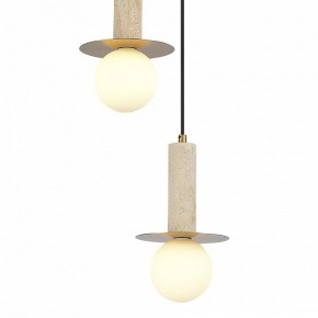 Подвесной светильник ST-Luce Earthy SL1194.303.03 в Ялуторовске - yalutorovsk.ok-mebel.com | фото 4