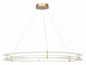 Подвесной светильник ST-Luce FAGY SL6245.213.01 в Ялуторовске - yalutorovsk.ok-mebel.com | фото 2