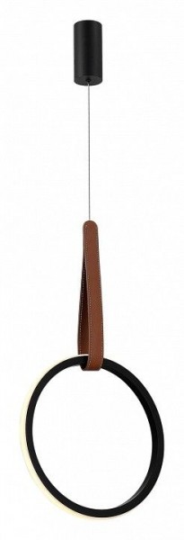 Подвесной светильник ST-Luce Shape SL6131.403.12 в Ялуторовске - yalutorovsk.ok-mebel.com | фото 2