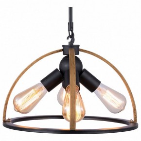 Подвесной светильник TopLight Jasmin TL1179H-04BK в Ялуторовске - yalutorovsk.ok-mebel.com | фото