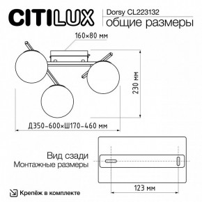 Потолочная люстра Citilux Dorsy CL223132 в Ялуторовске - yalutorovsk.ok-mebel.com | фото 12