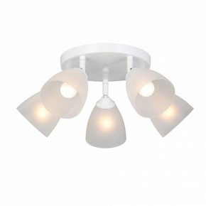 Потолочная люстра Vitaluce V4355 V4355-0/5PL в Ялуторовске - yalutorovsk.ok-mebel.com | фото 2