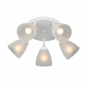 Потолочная люстра Vitaluce V4355 V4355-0/5PL в Ялуторовске - yalutorovsk.ok-mebel.com | фото 3
