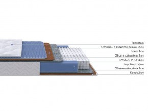 PROxSON Матрас Active Duo M/F (Ткань Трикотаж Эко) 160x200 в Ялуторовске - yalutorovsk.ok-mebel.com | фото 2